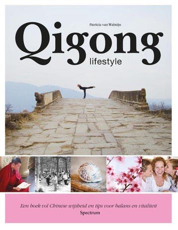 9789000369591 Qigong lifestyle Patricia van Walstijn, Verzenden, Nieuw, Patricia van Walstijn