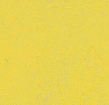 Forbo Marmoleum Decibel 374135 yellow glow, Huis en Inrichting, Verzenden, Nieuw