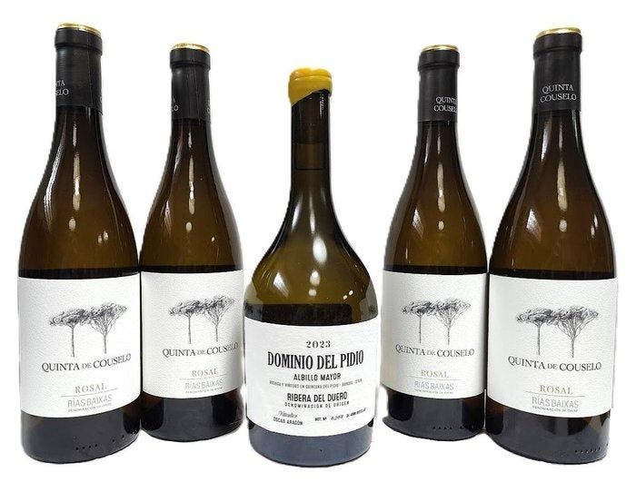 2023 Dominio del Pidio Albillo x1 & 2024 Quinta de Couselo, Verzamelen, Wijnen