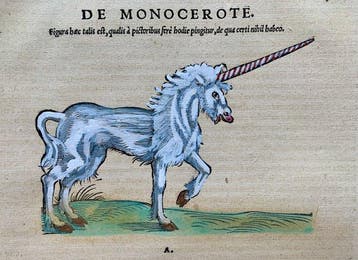 Conrad Gesner - Icones animalium quadrupedum uiuiparorum et