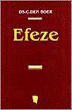 EFEZE 9789029714761 DEN BOER, Boeken, Verzenden, Zo goed als nieuw, DEN BOER