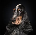 Ralph Hargarten - Lilly