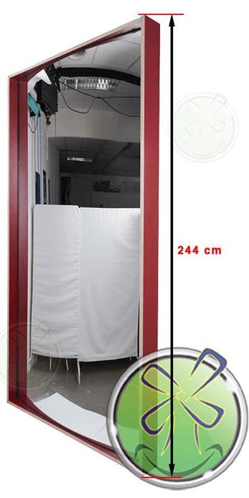 XXL Lachspiegel 244x122cm, Verzenden, Nieuw, Versiering, Overige