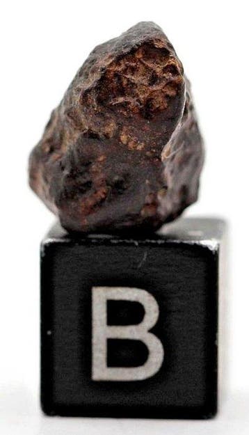 NWA 14967 ureiliet, primitieve achondrietmeteoriet - 1.59 g