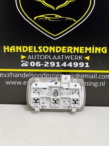 Renault Megane binnenverlichting achter bj.2016 264309166R, Gebruikt, Renault