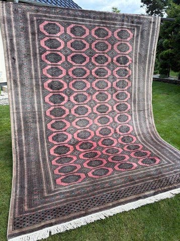 Top Pakistan tapijt lijkt op kasjmier. - Tapijt - 350 cm -, Nieuw