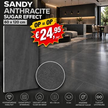 Sandy Anthracite Sugar Effect 60x120 | ACTIE €24,95/m², Nieuw