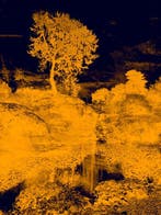 Viet Ha Tran - Echoes in Gold III