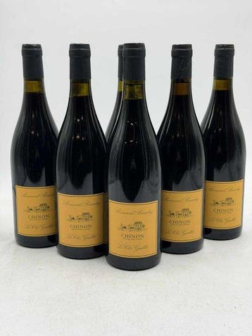 2024 Bernard Baudry Le Clos Guillot - Chinon - 6 Flessen, Verzamelen, Nieuw