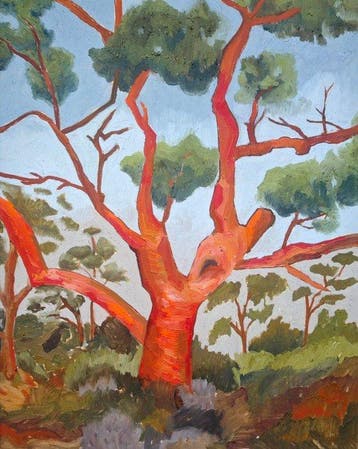 École expressionniste espagnole (XX) - Les pins rouges