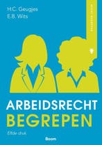 Arbeidsrecht begrepen / Recht begrepen 9789462128958, Verzenden, Zo goed als nieuw, E.B. Wits