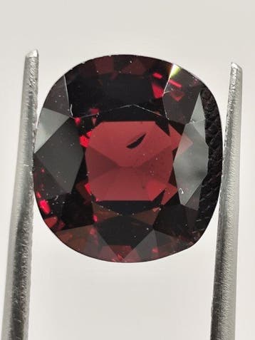 1 pcs Rood Spinel - 6.57 ct - Lotus Gemology - Goud - Rood -, Nieuw