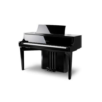 Kawai Vleugels, Nieuw