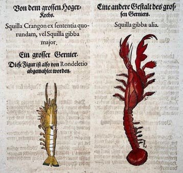 Conrad Gessner [d1565]; folio, 3 woodcuts - Crustaceans,