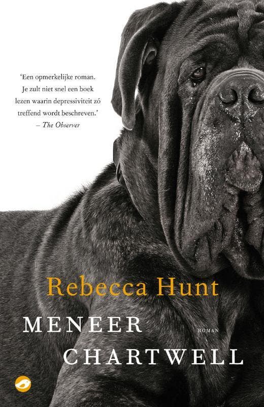 Meneer Chartwell - Rebecca Hunt 9789022959831, Boeken, Romans, Gelezen, Verzenden