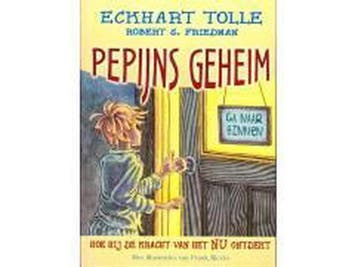 Pepijns geheim - R.S. Friedman 9789020203189, Verzenden, Zo goed als nieuw, R.S. Friedman