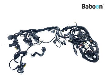 Kabelboom Ducati Multistrada 1200 2010-2012 (MTS1200), Verzenden, Gebruikt