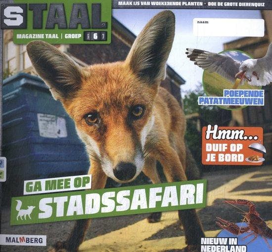 Staal 2 Taal / groep 6 thema 6 stadssafari 9789402078756, Boeken, Schoolboeken, Zo goed als nieuw, Verzenden