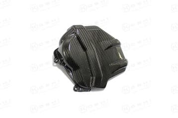 Ducati Panigale V4 S Carbon Cilinderkop afdekking, Verzenden