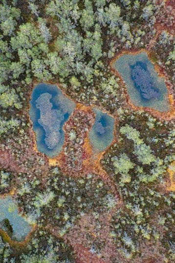 Bernhard Lang - The_Bog_001