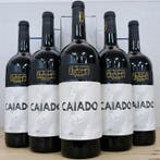 2022 Adega Mayor, Caiado - Alentejo DOC - 5 Magnums (1.5L), Nieuw