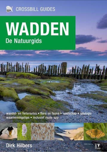 Wadden / Crossbill guides / 29 - Dirk Hilbers 9789491648151, Verzenden, Zo goed als nieuw, Dirk Hilbers