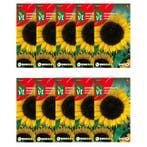 Bloemzaden zonnebloem | VT | 10 stuks, Verzenden