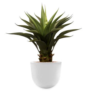 Agave Vetplant kunstplant, H70cm, Ophalen of Verzenden, Overige soorten, Minder dan 100 cm