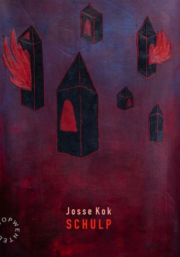 Schulp | Josse Kok | Nieuw, Ophalen of Verzenden, Nieuw, Josse Kok