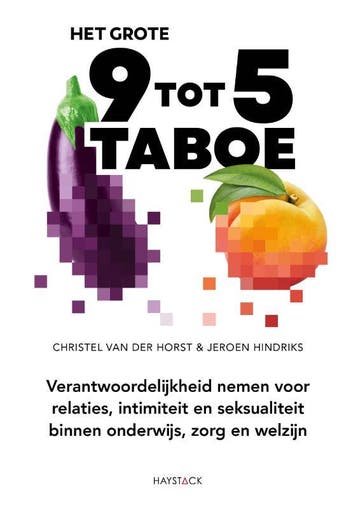 Het grote 9 tot 5 taboe 9789461265883, Verzenden, Zo goed als nieuw