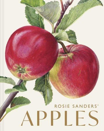 9781849949729 Rosie Sanders Apples Rosie Sanders, Boeken, Verzenden, Nieuw, Rosie Sanders