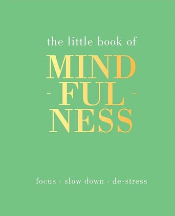 The Little Book of Mindfulness 9781849494205 Alison Davies, Verzenden, Zo goed als nieuw, Alison Davies
