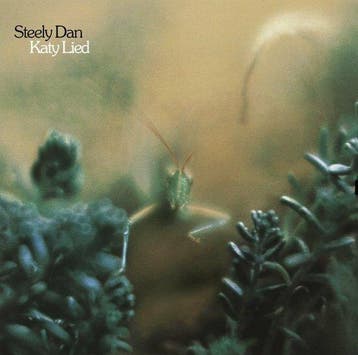 STEELY DAN - KATY LIED (LP), Verzenden, Nieuw in verpakking
