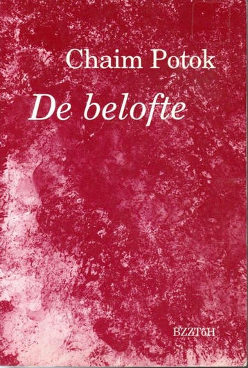 De belofte - Chaim Potok 9789062914159, Verzenden, Gelezen, Chaim Potok