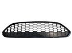 Ford Fiesta 2013-2017 Gril Sierrooster Zwart Honinggraad, Auto-onderdelen, Ophalen of Verzenden, Nieuw, Ford USA