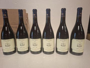 2023 Castello della Sala, Pinot Nero - Umbrië - 6 Flessen, Nieuw