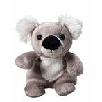 Pluche koala knuffel 11 cm met beschrijfbaar label - Knuff.., Verzenden, Nieuw