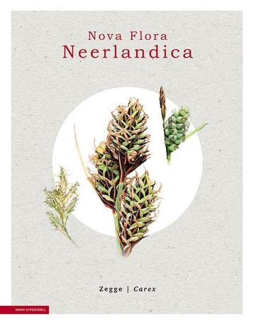 9789050118965 Nova Flora Neerlandica 2 - Zegge - Carex, Boeken, Studieboeken en Cursussen, Verzenden, Nieuw, Jacob Koopman