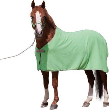 Kerbl Paardendeken Economic - groen - 155 cm, Dieren en Toebehoren, Verzenden, Nieuw
