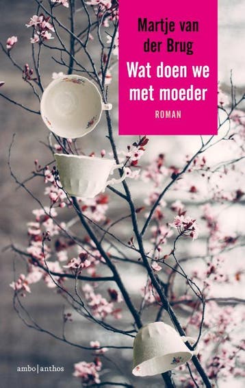 Wat doen we met moeder - Martje van der Brug 9789026338120, Verzenden, Zo goed als nieuw, Martje van der Brug