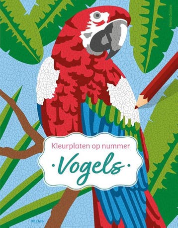 Vogels - Kleurplaten Op Nummer | Marica Zottino | Nieuw, Ophalen of Verzenden, Nieuw, Marica Zottino