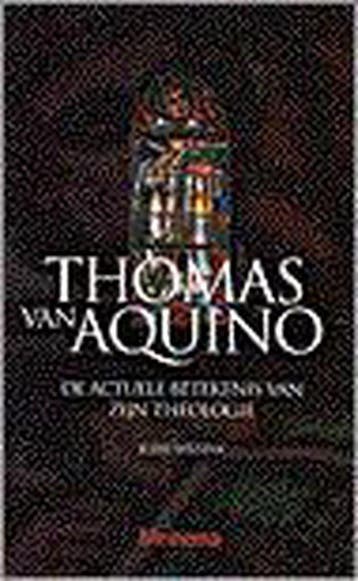 THOMAS VAN AQUINO - J. Wissink 9789021137315, Verzenden, Gelezen, J. Wissink