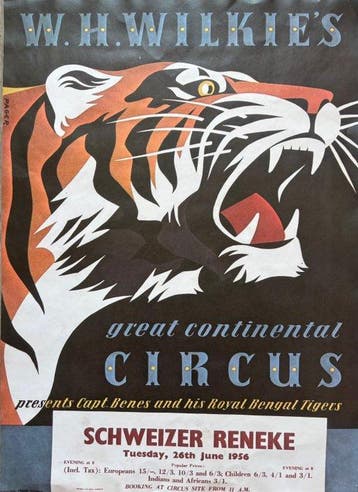Pacer - W.H. Wilkie’s Great Continental Circus - Jaren 1970