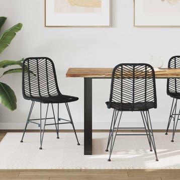vidaXL Eetkamerstoel 2 st Riet en IJzer Zwart 44 x 54,5 x 85, Verzenden, Nieuw, Zwart
