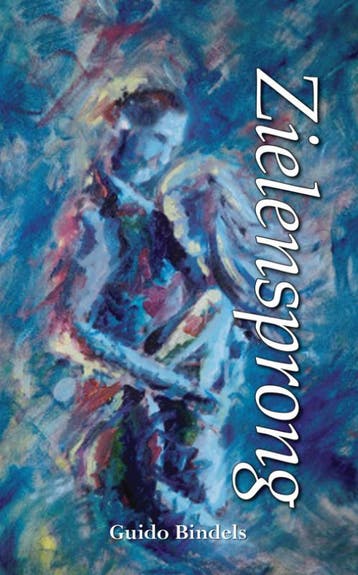 Zielensprong - Guido Bindels 9789089540928, Verzenden, Gelezen, Guido Bindels