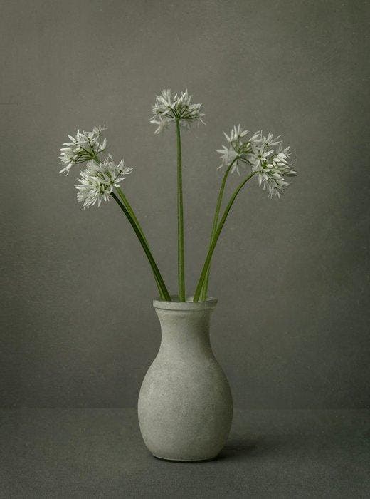 Tessa Posthuma de Boer - Ramsons, Antiek en Kunst, Kunst | Designobjecten