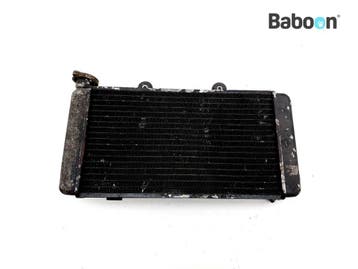 Radiateur BMW F 650 1993-1996 (F650 94), Motoren, Onderdelen | BMW, Verzenden, Gebruikt