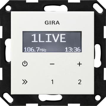 Gira Systeem 55 Draadloos Schakelmateriaal - 228403, Verzenden, Nieuw, Overige typen