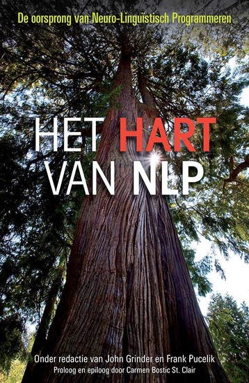 Het hart van NLP - John Grinder 9789020210613, Verzenden, Gelezen, John Grinder