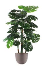 Monstera kunstplant, H145cm, Huis en Inrichting, Kamerplanten, Ophalen of Verzenden, Overige soorten, 100 tot 150 cm